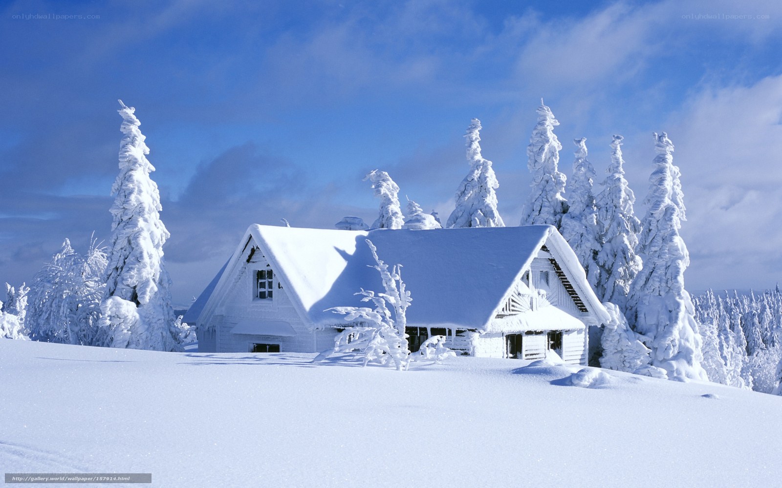 Snow-covered cabin in winter