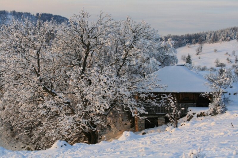 Snow-covered Cabin