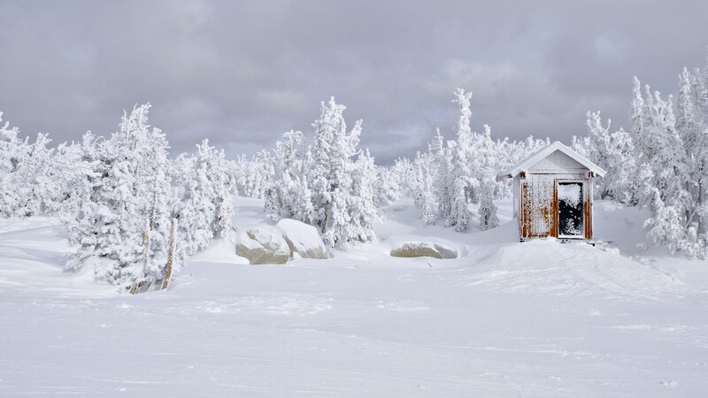 Snow-covered Cabin — White, Cold, Winter, Photograph, Trees
