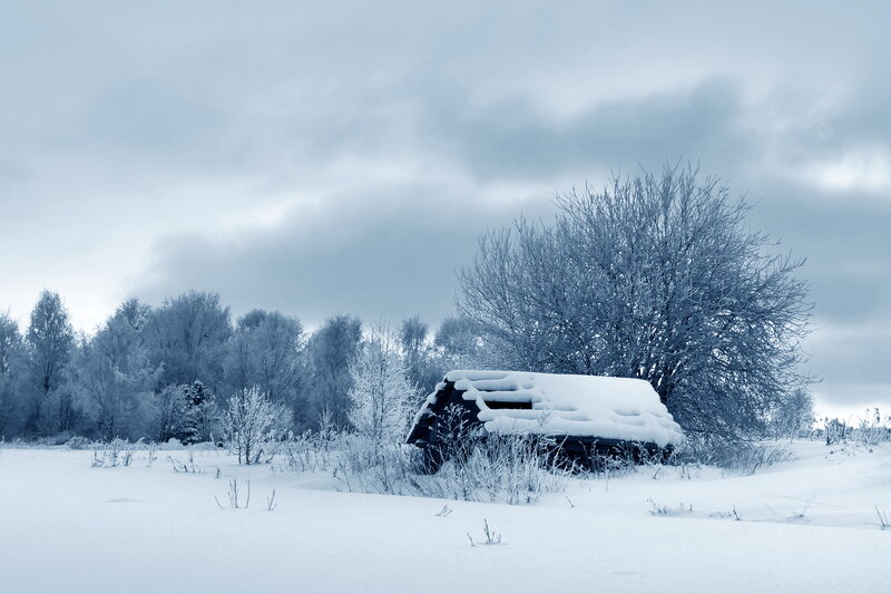 Snow-covered Cabin — White, Cold, Winter
