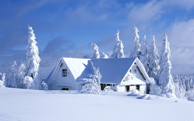 Snow-covered Cabin — White, Serene