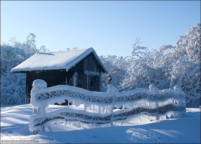 Snow-covered Cabin — White, Serene, Winter, Photograph, Fence, Trees