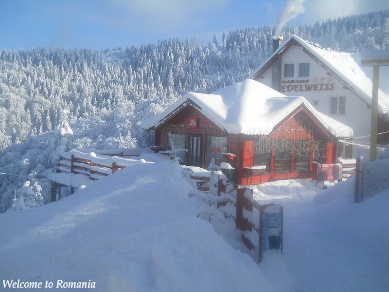 Snow-covered Cabin — White, Serene, Winter, Photograph, Forest