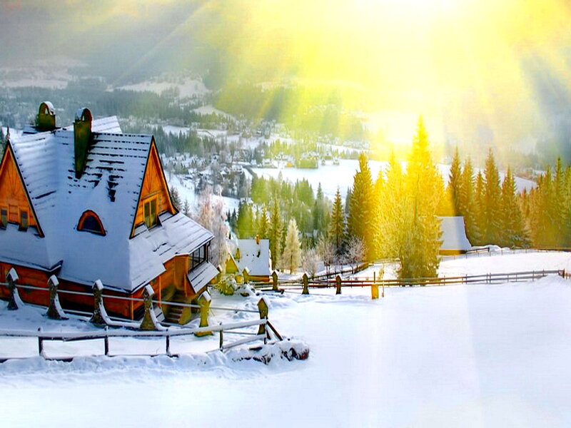 Snow-covered Cabin — White, Serene, Winter, Photograph, Mountains, Trees