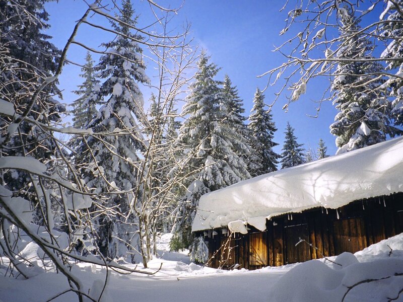 Snow-covered Cabin — White, Serene, Winter, Photograph