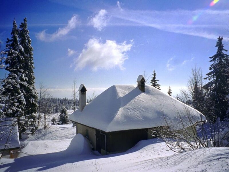 Snow-covered Cabin — White, Serene, Winter, Photograph, Trees, Chimneys