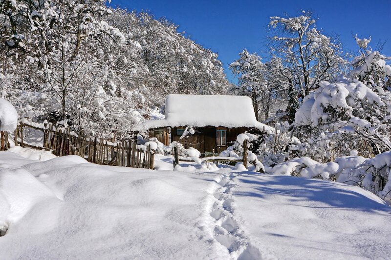 Snow-covered Cabin — White, Serene, Winter, Photograph, Trees, Fence, Footprints