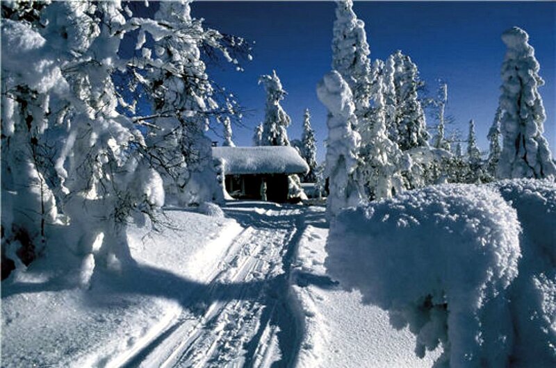 Snow-covered Cabin — White, Serene, Winter, Photograph, Trees, Path