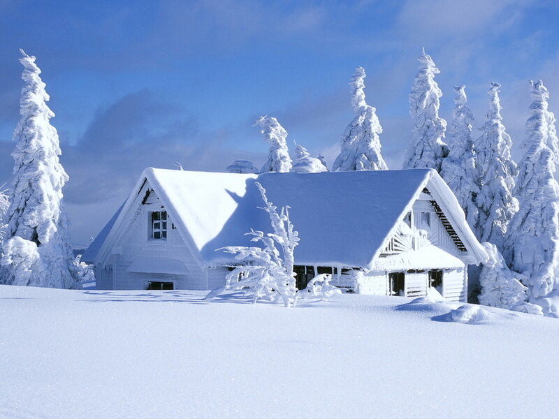 Snow-covered Cabin — White, Serene, Winter, Photograph, Trees, Roof