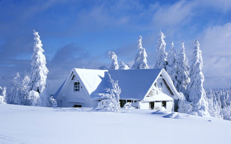 Snow-covered Cabin — White, Serene, Winter, Photograph, Trees, Sky