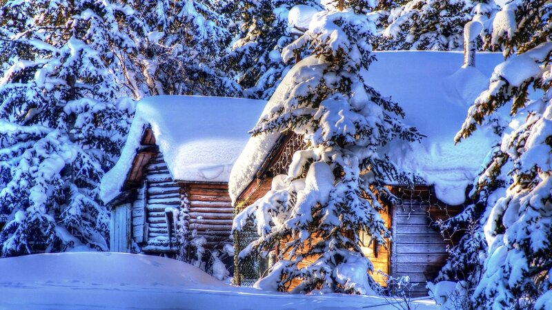 Snow-covered Cabin — White, Serene, Winter, Photograph, Trees, Snow, Log Cabin, Lights