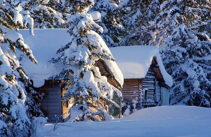 Snow-covered Cabin — White, Serene, Winter, Photograph, Trees, Snow, Log Cabin, Sunlight