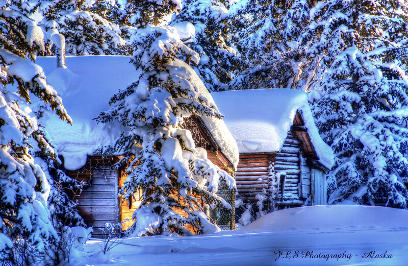 Snow-covered Cabin — White, Serene, Winter, Photograph, Trees, Snow, Log Cabin