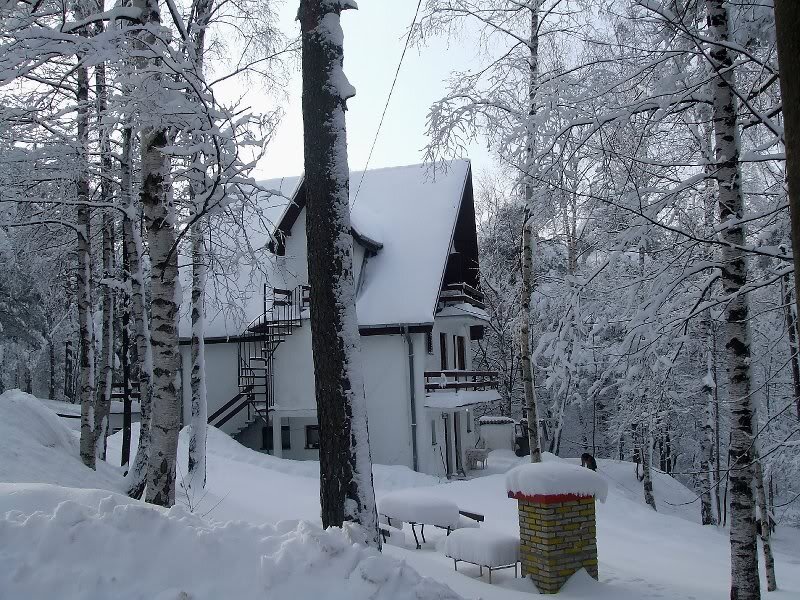 Snow-covered Cabin — White, Serene, Winter, Photograph, Trees, Snow