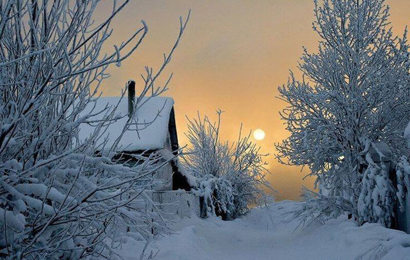 Snow-covered Cabin — White, Serene, Winter, Photograph, Trees, Sun