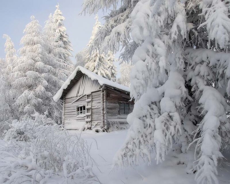 Snow-covered Cabin — White, Serene, Winter, Photograph, Trees