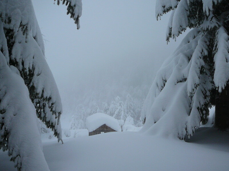 Snow-covered Cabin — White