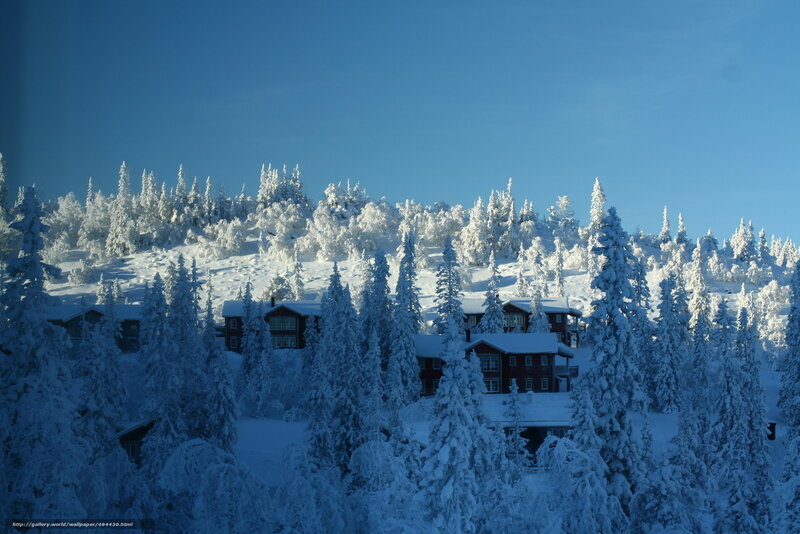 Snow-covered Cabins — Blue, Serene, Winter, Photograph, Trees, Mountain