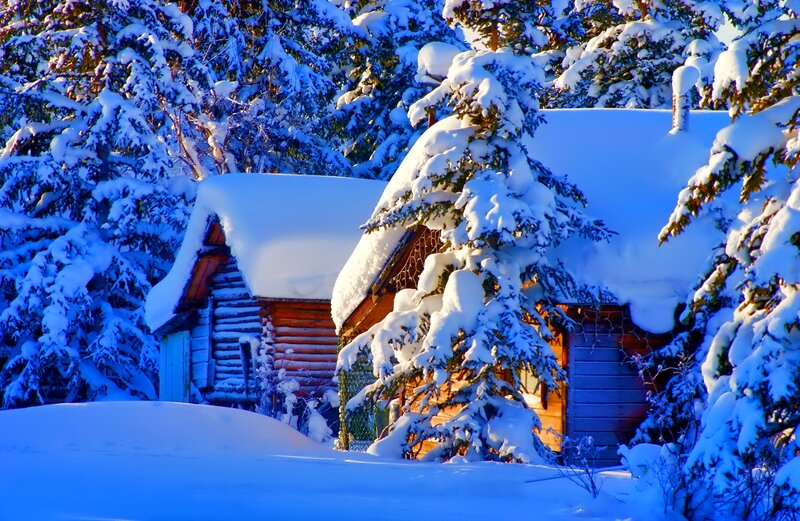 Snow-covered Cabins — Blue, Serene, Winter, Photograph, Trees, Snow