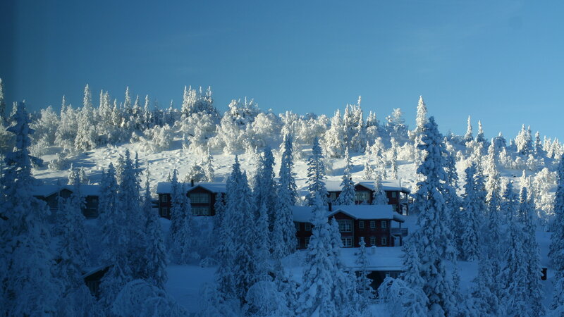Snow-covered Cabins — Blue, Serene, Winter, Photograph, Trees