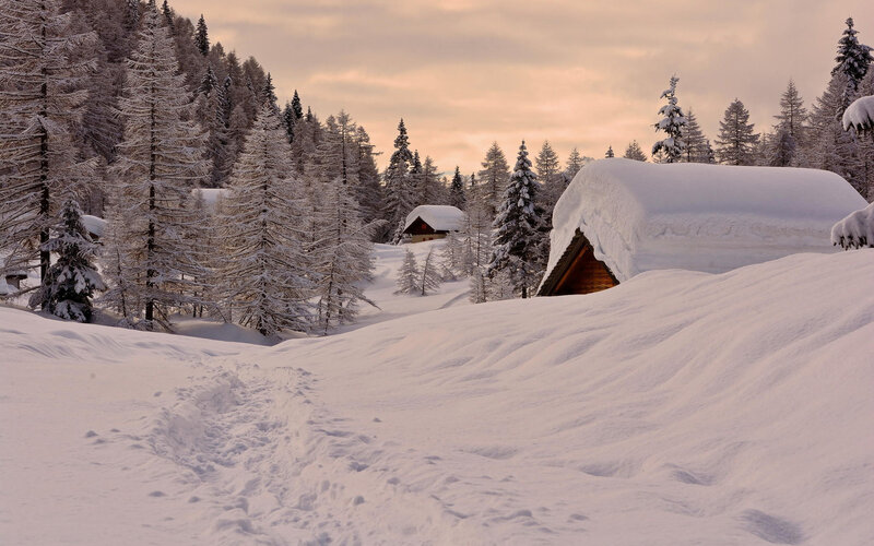 Snow-covered Cabins in Forest