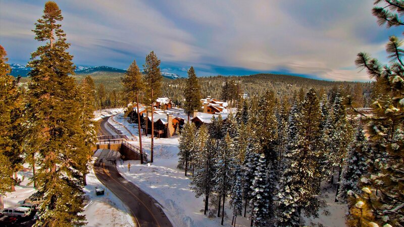 Snow-covered Cabins in Forest — White, Serene, Winter