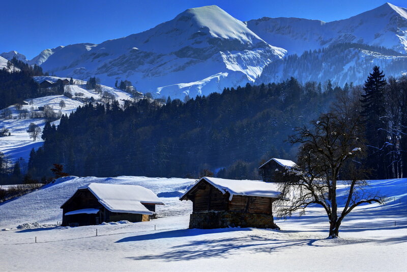 Snow-covered Cabins in Mountains — White, Serene