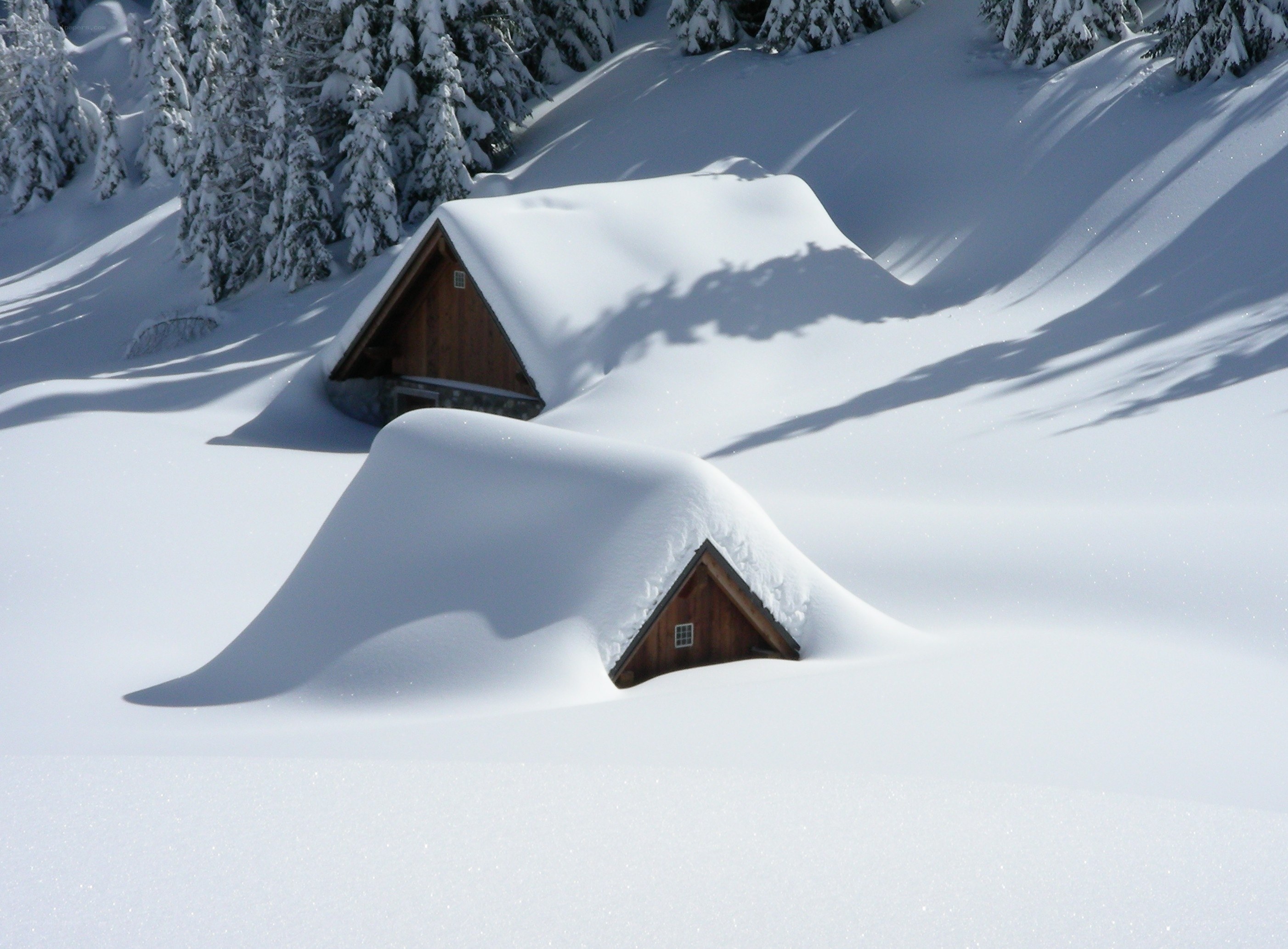 Snow-covered cabins in winter