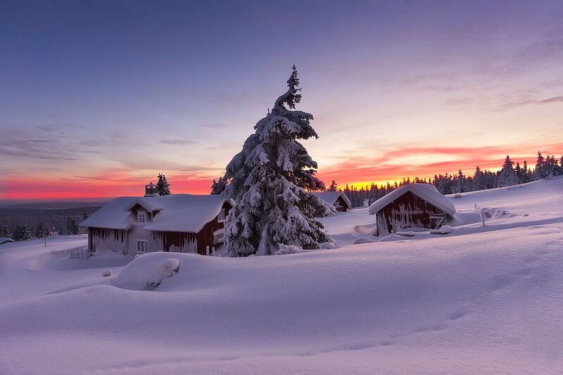 Snow-covered Cabins — Purple, Serene, Winter