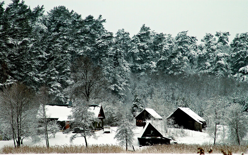 Snow-covered Cabins — White, Serene, Winter, Photograph, Forest