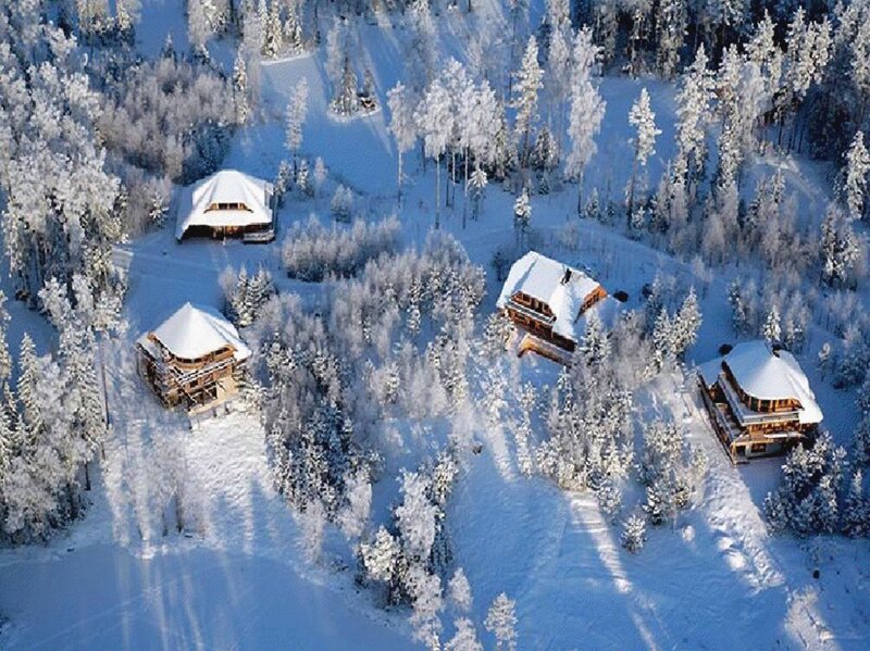Snow-covered Cabins — White, Serene, Winter, Photograph, Forest, Trees