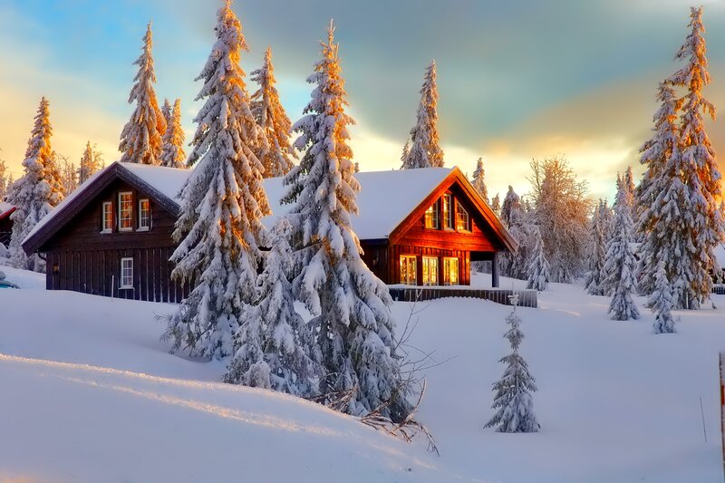 Snow-covered Cabins — White, Serene, Winter, Photograph, Trees, Snow