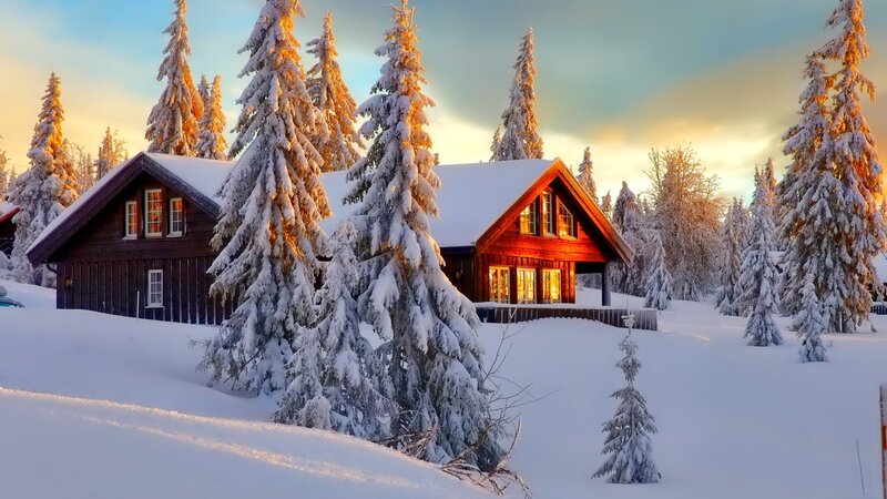 Snow-covered Cabins — White, Serene, Winter, Photograph, Trees, Snow, Windows