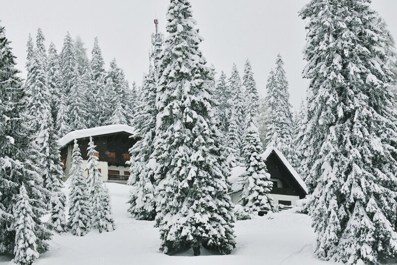 Snow-covered Cabins — White, Serene, Winter, Photograph, Trees