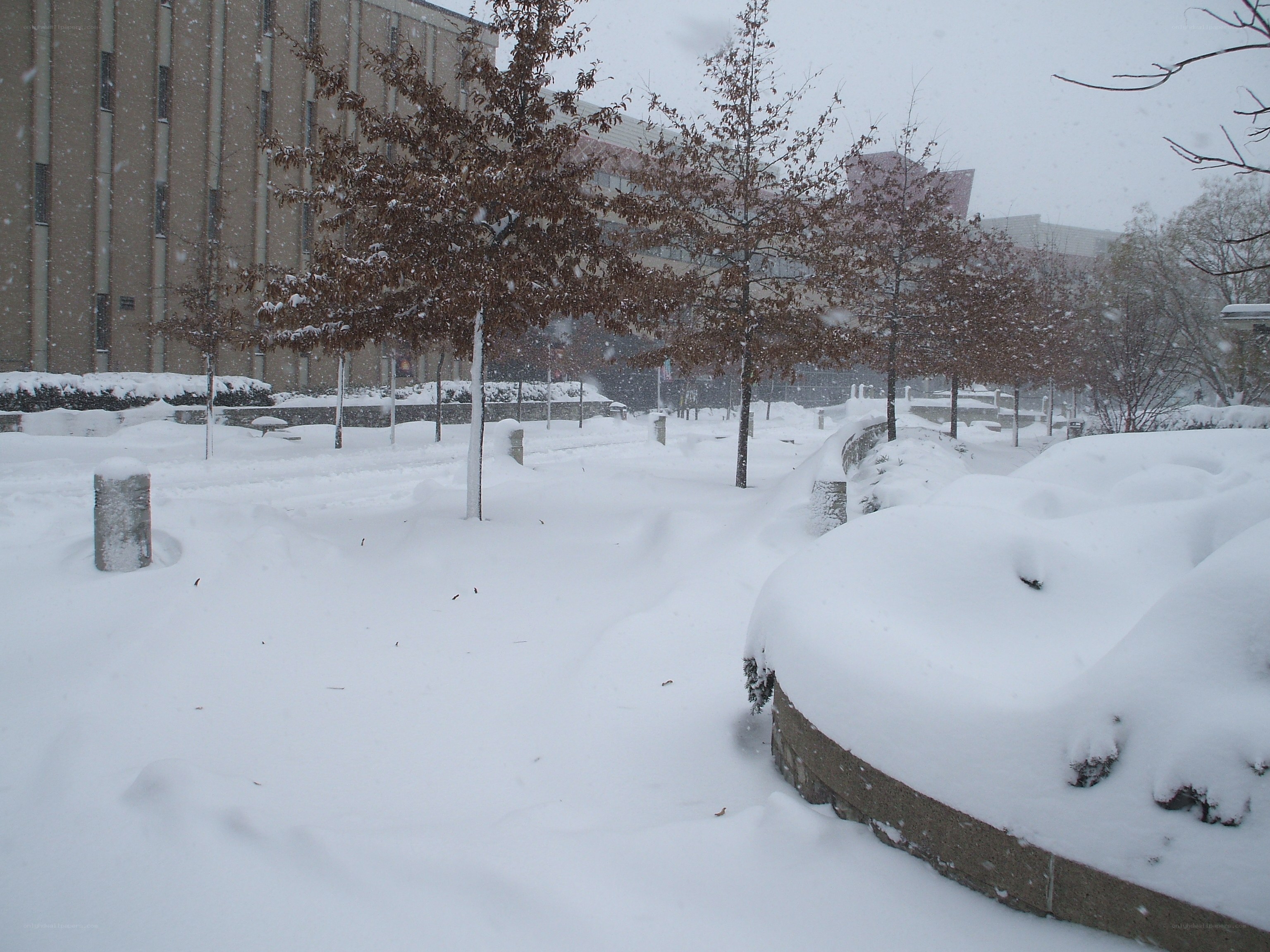 snow-covered campus path