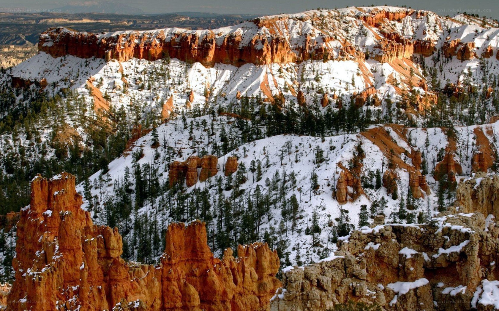 Snow-covered canyon landscape