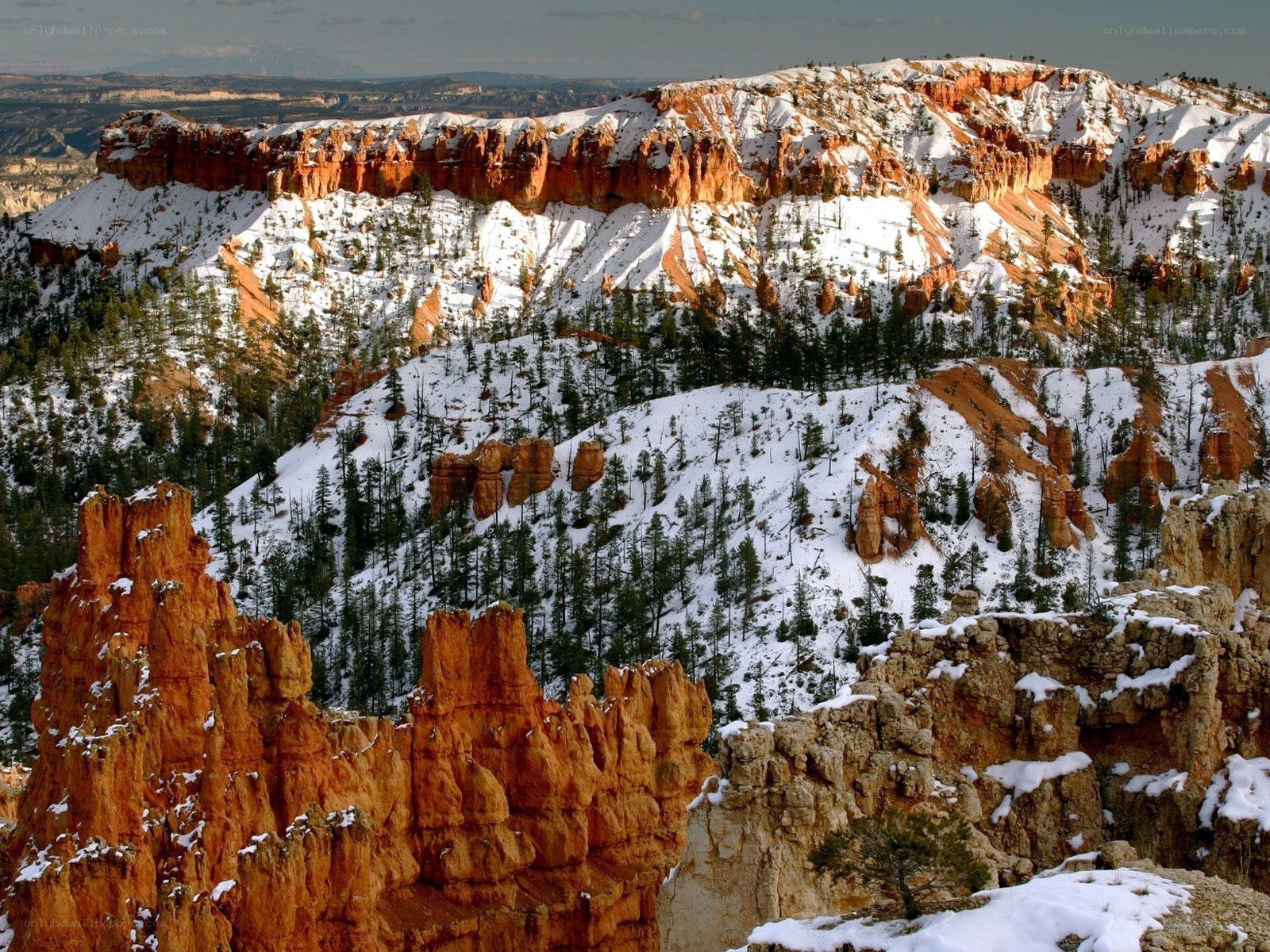 Snow-covered canyon landscape