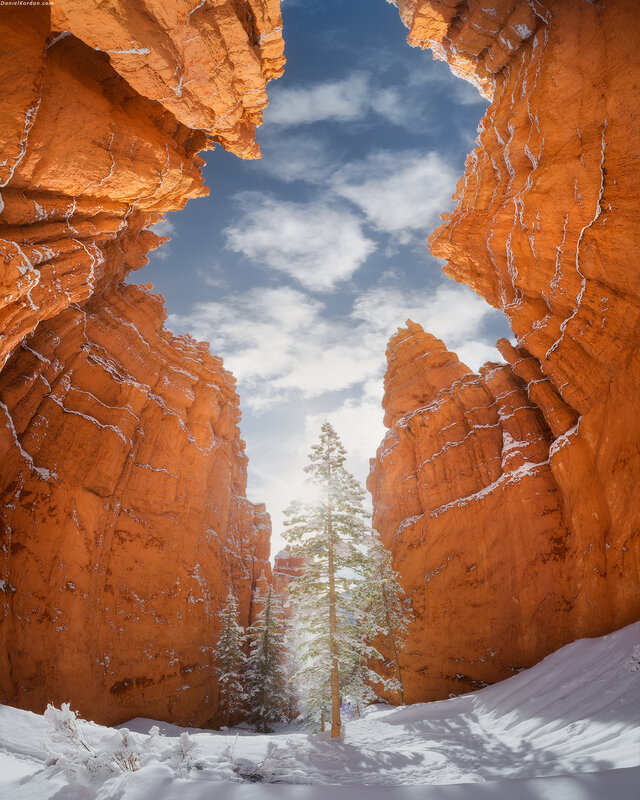 Snow-covered Canyon — Orange, Serene