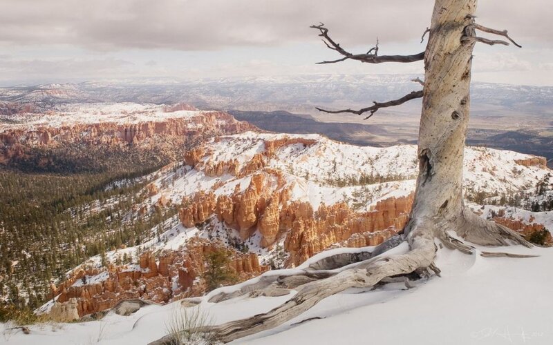 Snow-covered Canyon — White, Serene, Winter, Photograph