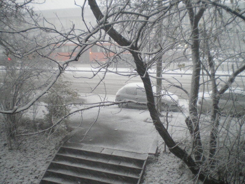 Snow-covered Car