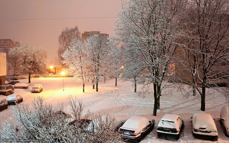 Snow-covered Cars and Trees — White, Calm
