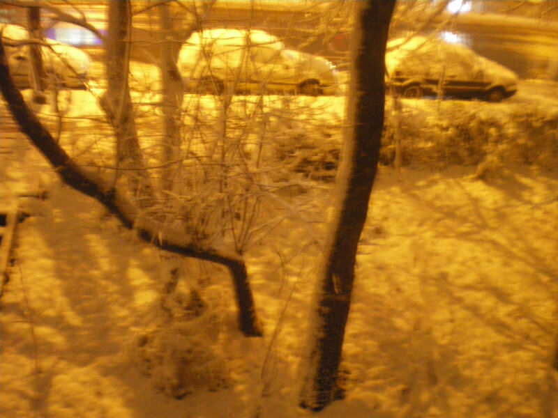 Snow-covered Cars at Night — Yellow, Cold