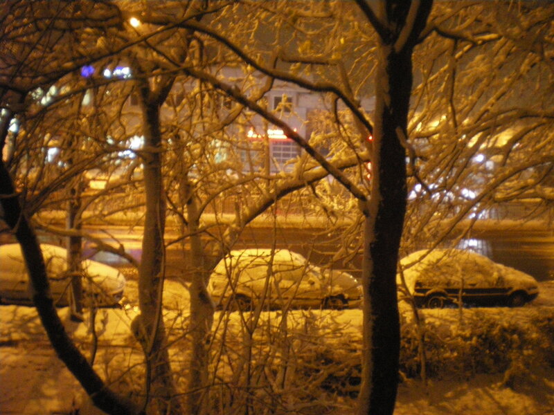 Snow-covered Cars at Night — Yellow