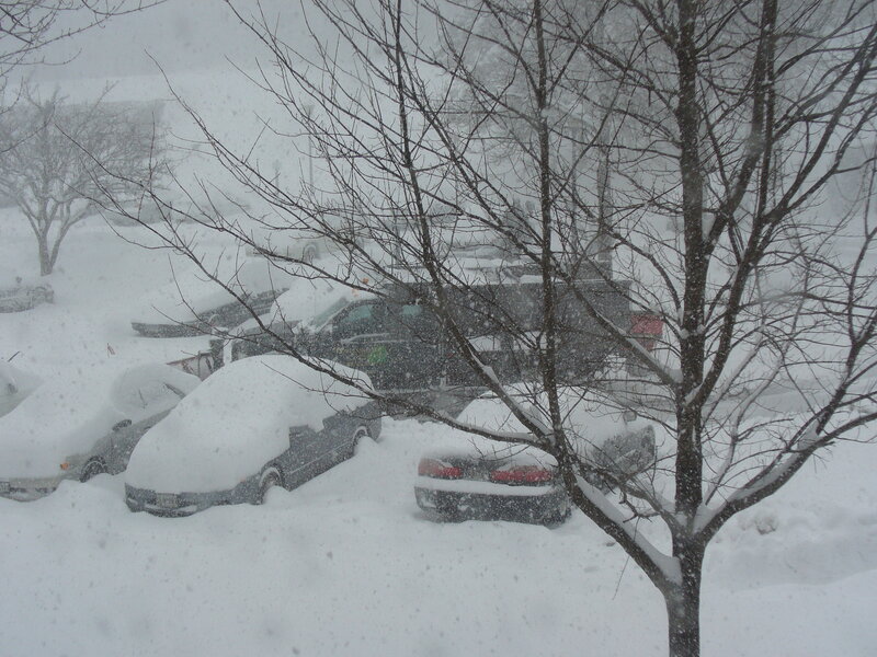 Snow-covered cars in a storm