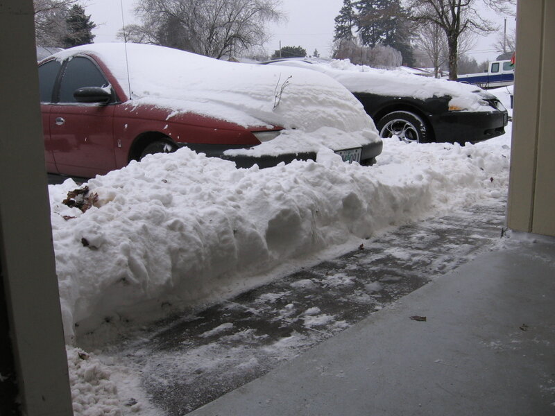 Snow-covered cars in driveway