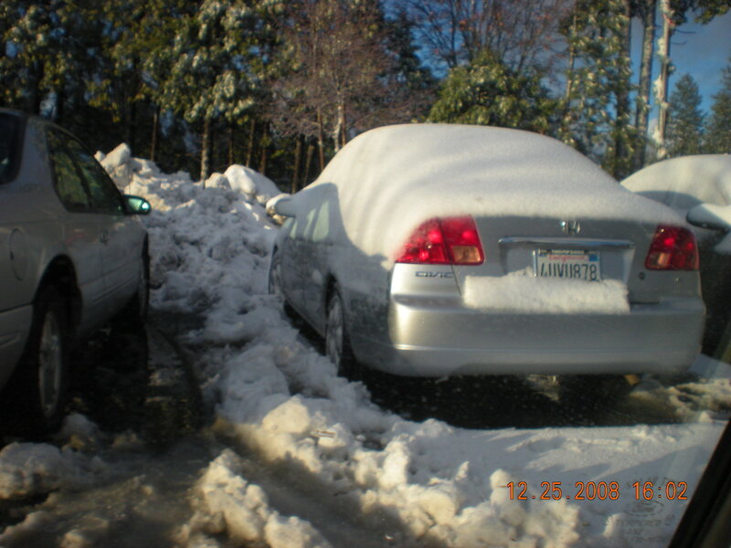Snow-covered cars in parking lot