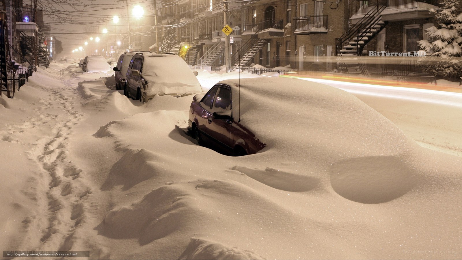 Snow-covered cars on a city street