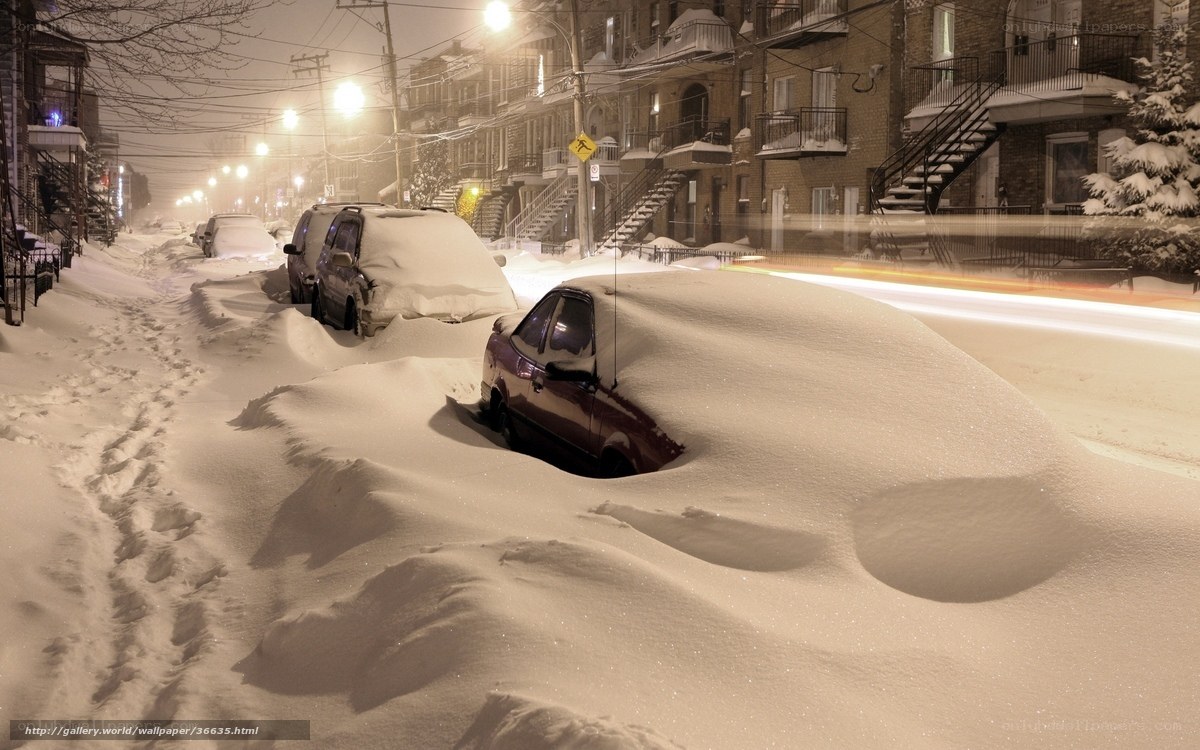 Snow-covered cars on a city street
