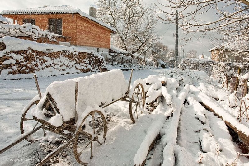 Snow-covered Cart in Village