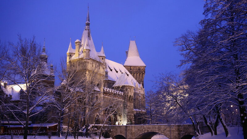 Snow-covered Castle — Blue, Serene, Winter, Photograph, Trees